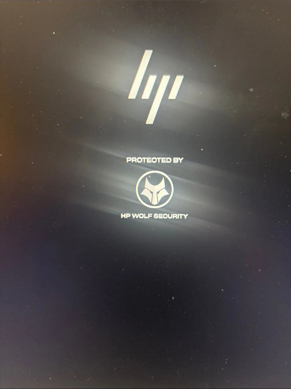 HP Laptop System Info Screen — White and Gray Interface